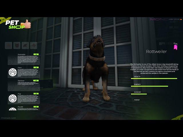 FiveM Pet System [ESX & QBCore] | ESx Scripts