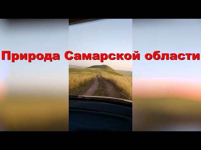 Трейлер "Роман Морозов. Полезный канал"