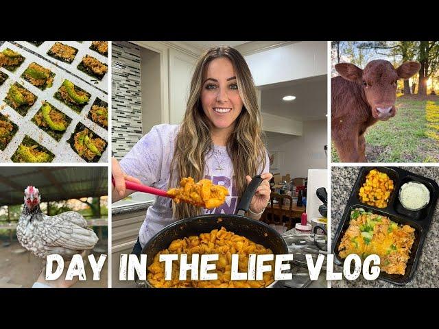 A Crazy Day in the Life of a Full Time Content Creator with 140+ Animals ‍