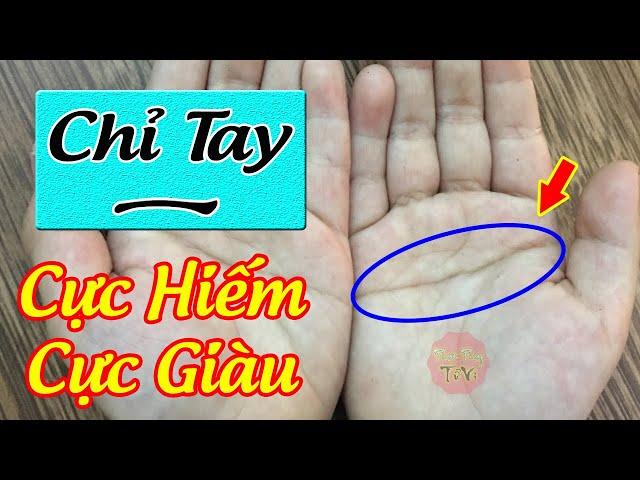 Tiết Lộ Bí Mật Bàn Tay Chữ Nhất, Người Đặc Biệt Có Tài, Thông Minh, Một Tay Dựng Cơ Đồ