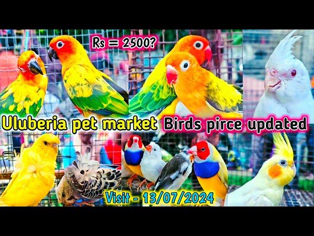 Uluberia pet market . Birds pirce updated  13.07.2024 . Uluberia pakhir haat . #cheapest #sale