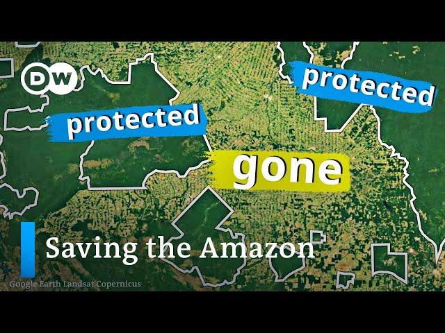 Can Brazil save the Amazon this time?