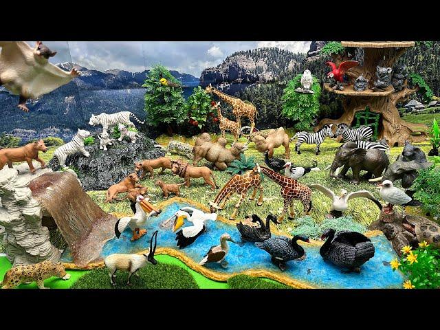 Diorama Safari World With natural Background - owls Giraffe Lion Parrot camel