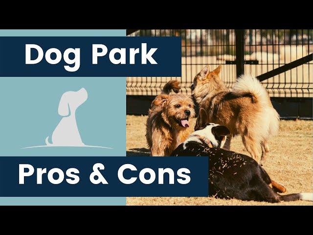 Dog Park Pros and Cons