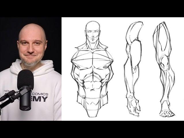 How to Draw Anatomy for Men - Front View (Basic Anatomy of The Male Figure)