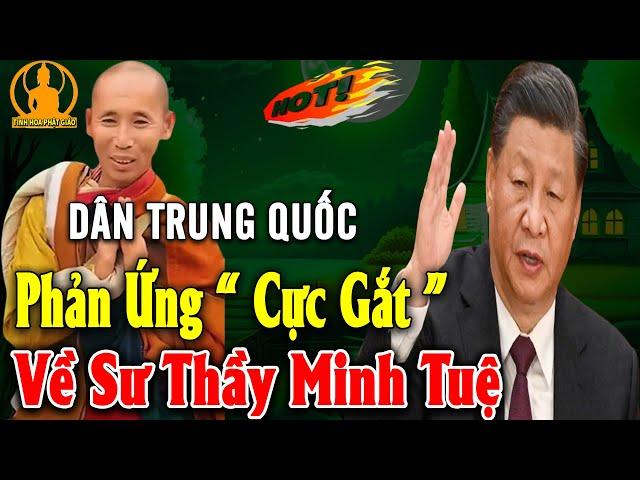 Tin NÓng! Phản Ứng Sốc Của Người Trung Quốc Về Sư THÍCH MINH TUỆ ở Việt Nam Khiến Thế Giới Suy Ngẫm