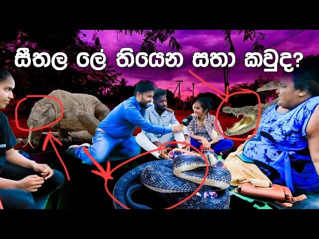 සීතල ලේ තියෙන සතා කවුද? ️ | Cold-Blooded Animals Explained! | Sri Lanka Sinhala Education