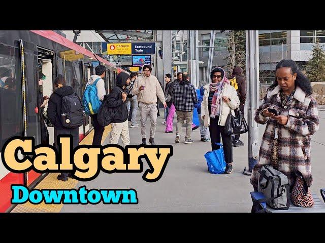 Calgary Downtown | Calgary Downtown on  February 2024. Calgary Canada #Calgary #alberta #canada