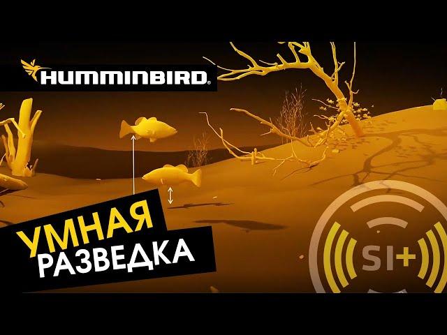 Уникальная технология поиска рыбы Mega Side Imaging. Как ловить больше с эхолотом Humminbird?