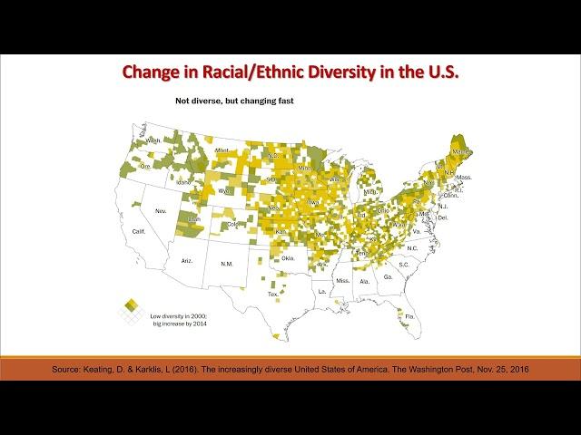 Language Diversity in the US