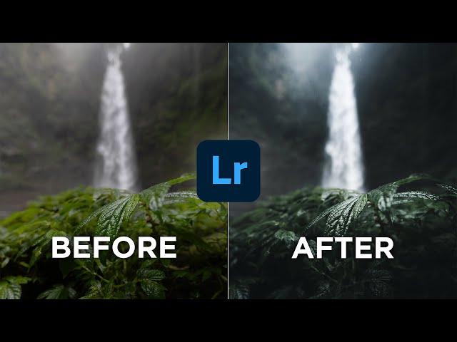 Master Moody Green Color Grading in Lightroom for Mobile | Color Correction Tutorial for Beginners