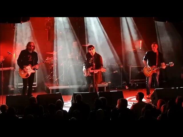 Chameleons Vox - Return Of The Roughnecks (Live) - Rescue Rooms, Nottingham 1 February 2022