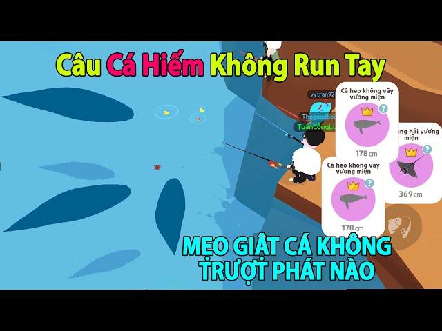 Play Together | Hướng Dẫn Cách Câu Cá Không Run Tay, Ít Hụt Và Mẹo Câu Cá Hiếm