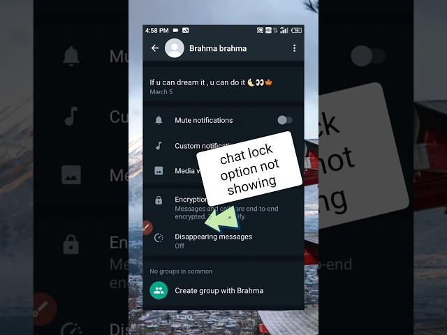 WhatsApp chat lock | whatsapp new update chat lock #new #newfeatures #whatsappupdate #chatlock