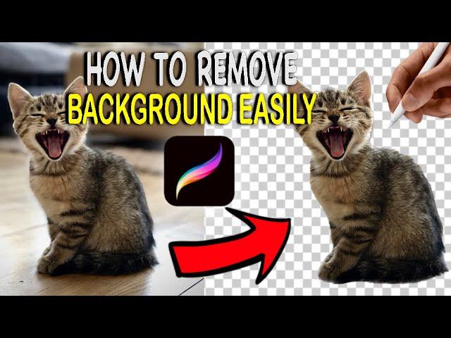 How to Remove a Background From an Image With Procreate on iPad (Easy Method!)