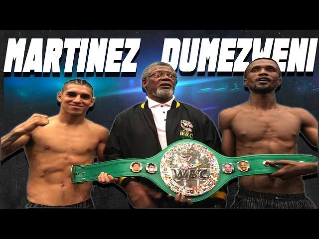 "EL PUMA" FERNANDO MARTINEZ VS ATHENKOSI DUMEZWENI  FULL HIGHLIGHTS