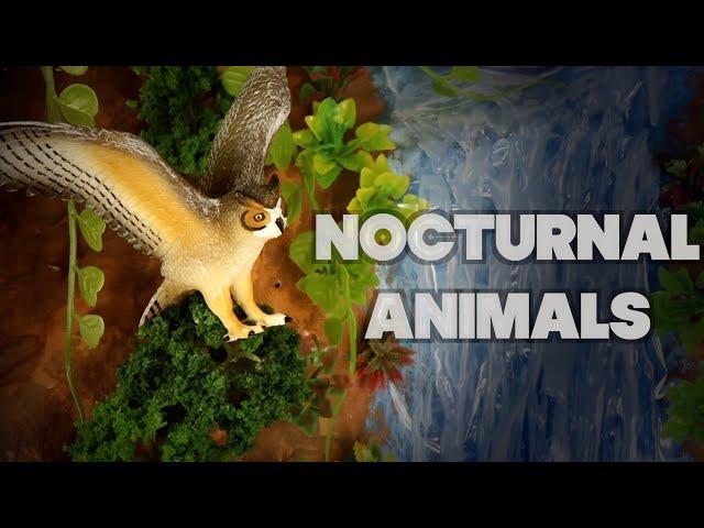 Meet the Nocturnal Animals | African Jungle Diorama for Kids!