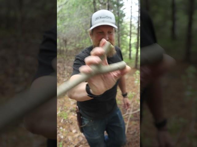 Make Your Own Slingshot in the Woods #slingshot #trickshot #lifehack #tipandtricks #diy