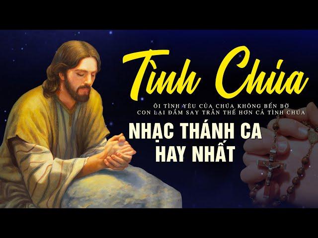 Nhạc Thánh Ca 2022 Hay Nhất - Tuyệt Đỉnh Thánh Ca Ca Vang Tình Yêu Chúa, Con Luôn Tin Cậy Vào Ngài