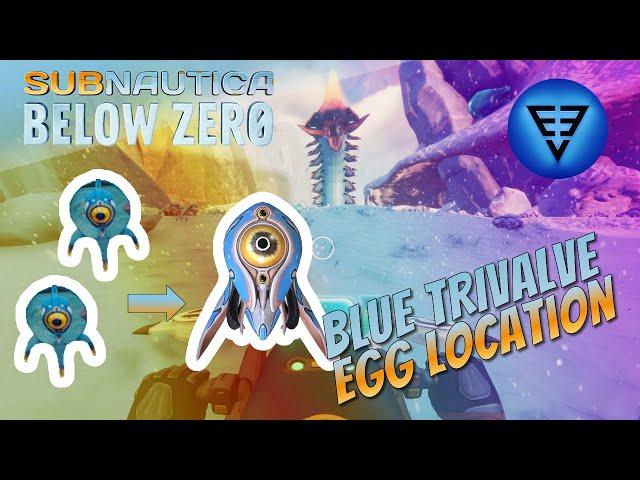 Blue Trivalve egg location Subnautica Below Zero