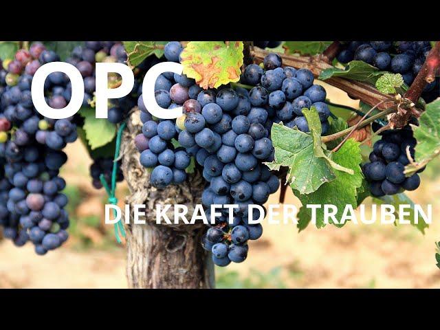 OPC - die Kraft der Trauben