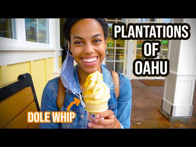 The Dole Plantation! Too touristy or worth a visit? | Coffee and cacao plantation | Dole whip