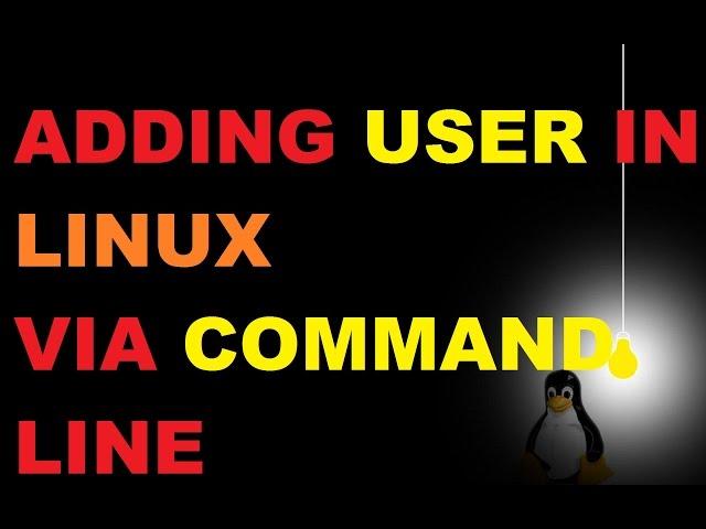 Adding a standard user into Kali Linux with Sudo