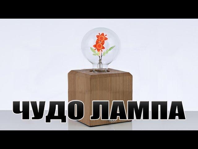 ЧУДО ЛАМПА ИЗ КИТАЯ .