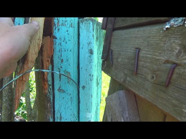 Broke the gate. Harvesting lilacs and dandelions. Episode 285