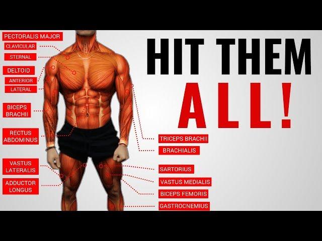 The Best Science-Based Full Body Workout for Growth (WORKOUT “A”)