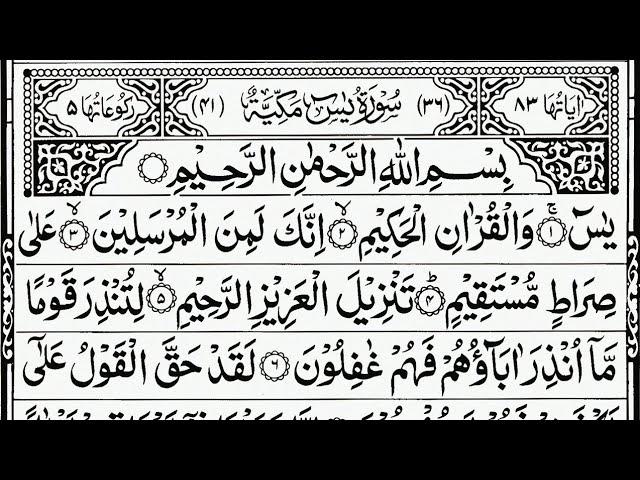 Surah Yaseen | Surah Yasin Surah Rahman Surah Mulk | Beautiful Quran Tilawat 177 سورہ یس