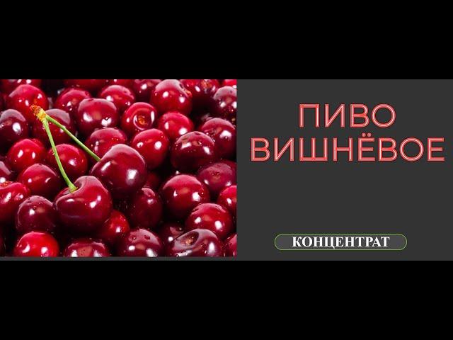 ПИВО ВИШНЁВОЕ. ПОЛУЧИТСЯ ЛИ ПИВО ИЗ КОНЦЕНТРАТА???