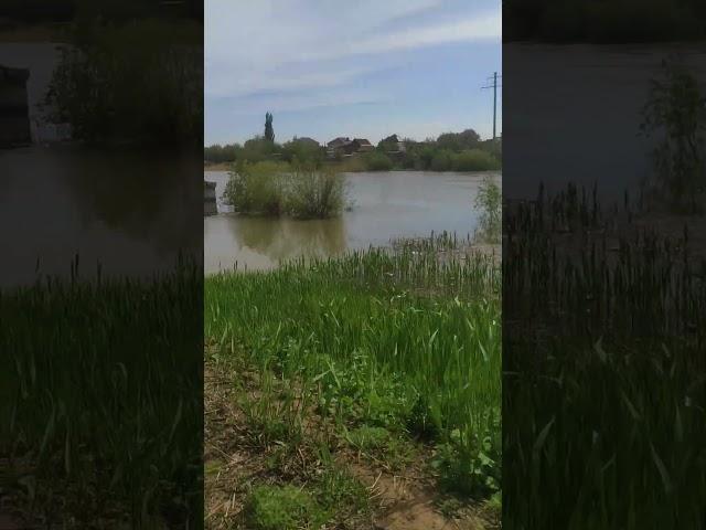 Где еще можно так рыбачить? Рыбаки повсюду. Вода пришла,  рыбалка пошла. Скоро мошка.