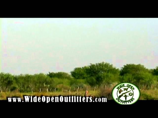 Wide Open Outfitters Promo