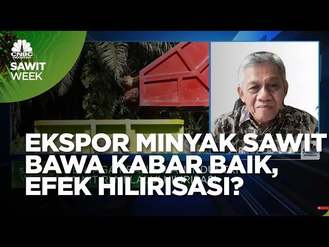 Kabar Baik Dari Ekspor Minyak Sawit RI, Efek Hilirisasi?