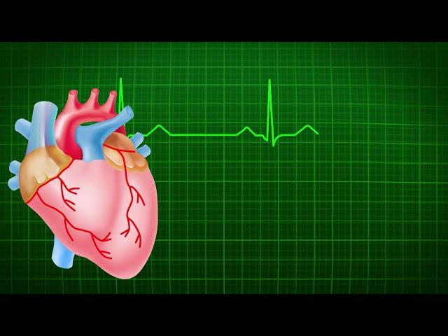 Heart Beats Green Screen |Chroma key| Digital Helper
