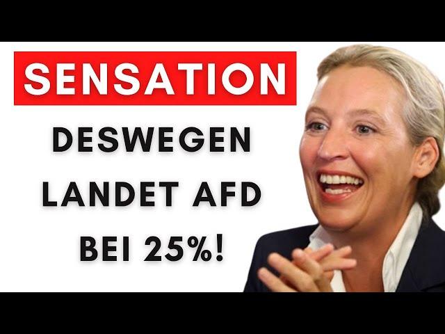 Briefwahl 2025 kaum möglich – AfD profitiert massiv!