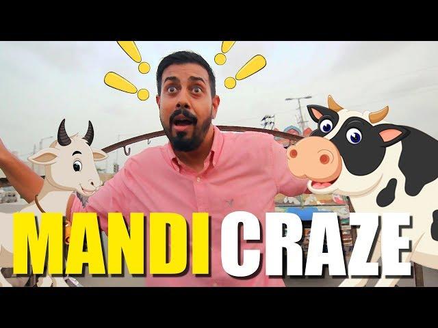 Mandi Craze | Bakra Eid | Bekaar Films