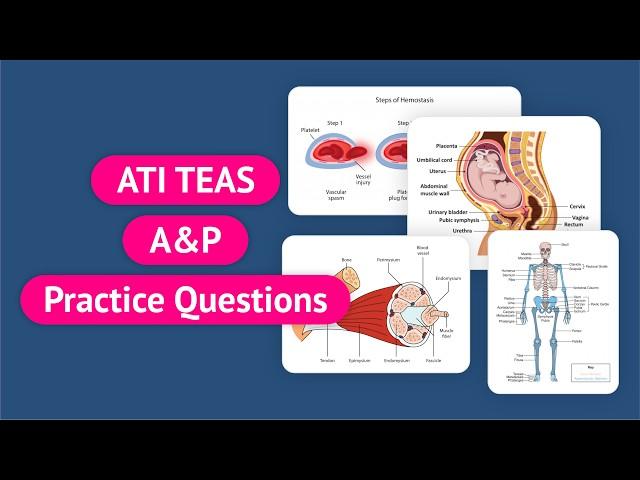 ATI TEAS 7 Science | ATI TEAS Anatomy and Physiology Practice Questions