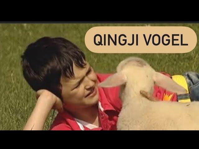 QINGJI VOGEL - Kenge per femije (Pellumb Hajdari) ORIGJINALI