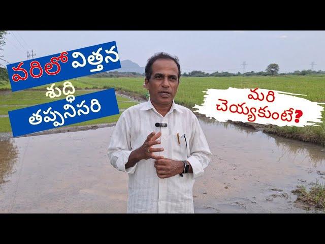 వరిలో విత్తన శుద్ధి తప్పనిసరి|seed treatment must in paddy|karshaka Nestham|agriculture tips