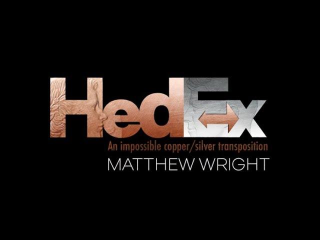 Hedex by Matthew Wright