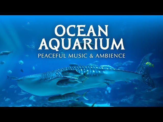  Ocean Aquarium | Underwater Ambience with Peaceful Music for Study, Sleep, and Relaxing