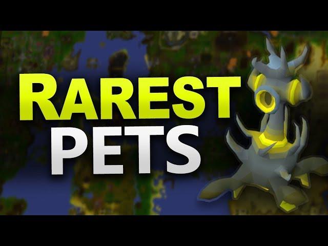 Hardest Pets To Get in OSRS (Rarest Pets)