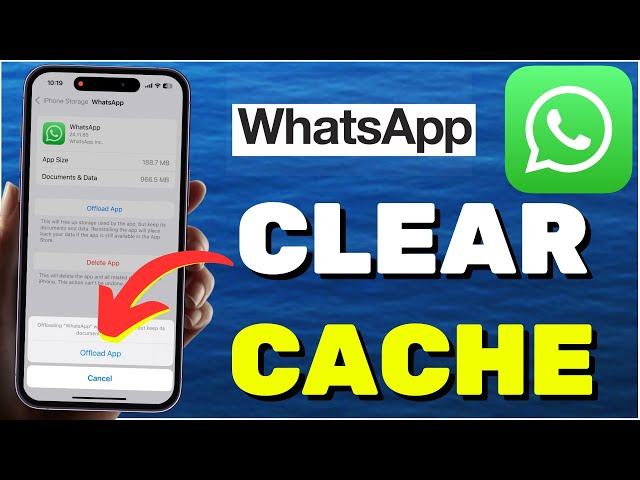 How to Clear WhatsApp Cache on iPhone (2024)