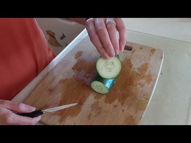 Using cucumbers to demonstrate tissue sections: cross section vs longitudinal sections