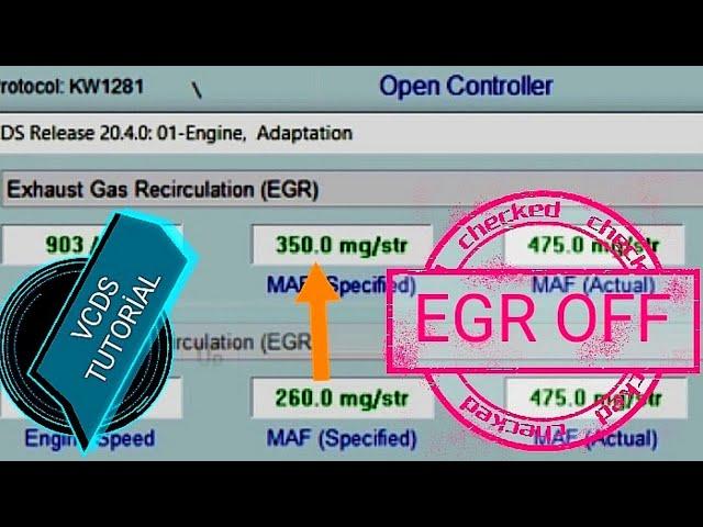 VCDS - EGR Delete