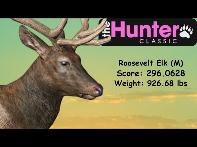 The Hunter Classic | Male Roosevelt Elk Gameplay | Score 296.0628