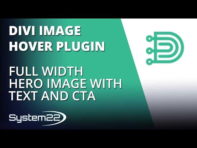 Divi Theme Hover Effects Full Width Hero Image With Text And CTA 