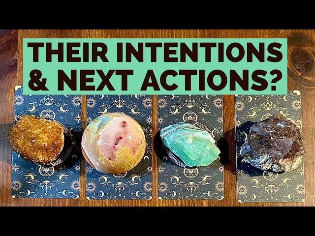 What Are Their Intentions & Next Actions Towards You?️Timeless All Signs Pick-A-Card Love Reading️